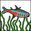ykacur's Avatar